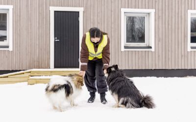 Koiran päivähoito Helsinki
